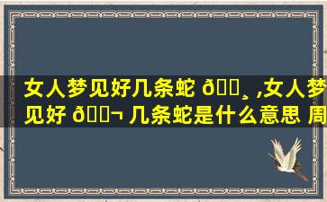 女人梦见好几条蛇 🌸 ,女人梦见好 🐬 几条蛇是什么意思 周公解梦